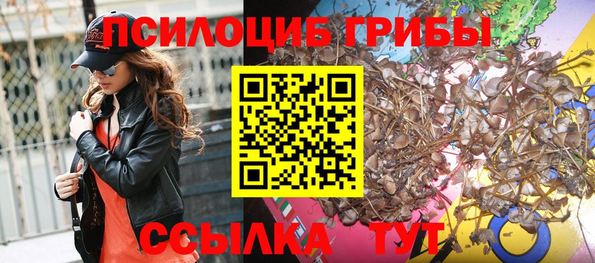 Псилоцибиновые грибы Cubensis Зерноград