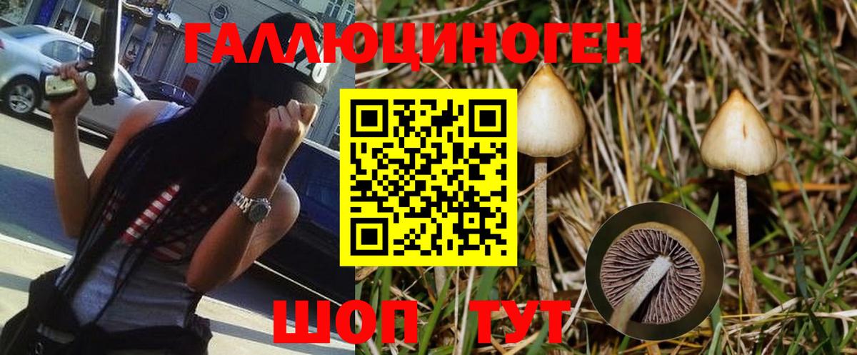 Галлюциногенные грибы Cubensis  наркотики  Зерноград  Галлюциногенные грибы мицелий  Вход с VPN 